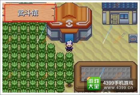 口袋妖怪漆黑的魅影超梦