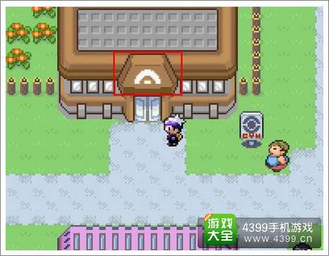 口袋妖怪漆黑的魅影雷道馆