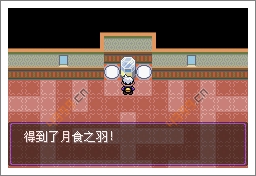 口袋妖怪漆黑的魅影噩梦神