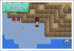 口袋妖怪漆黑的魅影创世神