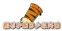 西游大战僵尸OL粗布护腕多少级突破？ 突破说明
