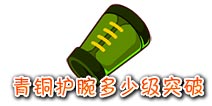 西游大战僵尸OL青铜护腕多少级突破？