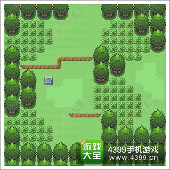口袋妖怪漆黑的魅影