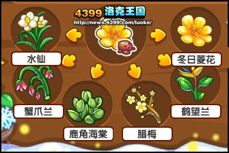 洛克王国冬日的绽放