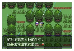 口袋妖怪漆黑的魅影5.0二周目攻略