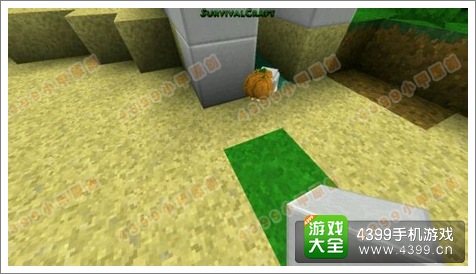 生存战争(Survivalcraft)规模化梯田怎么做