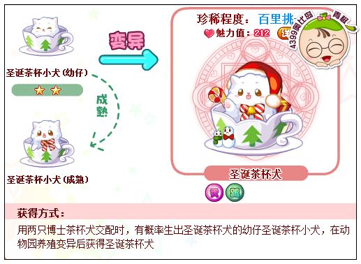 奥比岛圣诞茶杯犬怎么得 在哪得
