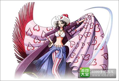 航海王启航爱比达