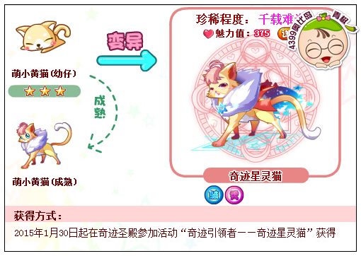 奥比岛奇迹星灵猫怎么得 在哪得