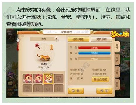 梦幻西游手游新手攻略