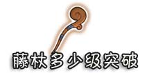 西游大战僵尸OL藤杖多少级突破?