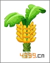 阿狸农场植物大全