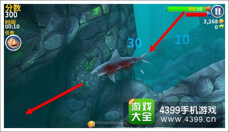 饥饿鲨:进化