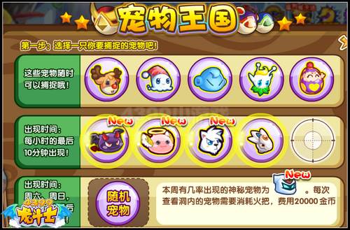 龙斗士宠物怎么得 在哪得