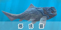 饥饿的鲨鱼邓氏鲨