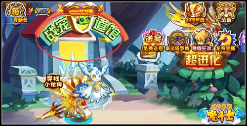 龙斗士宠物道馆解析