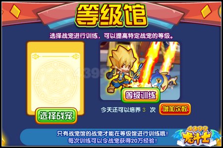 龙斗士宠物道馆解析
