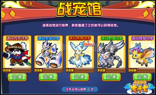 龙斗士宠物道馆解析