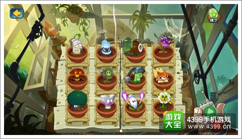 植物大战僵尸全明星新版本更新内容细览