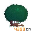 植物大战僵尸全明星柏树属性好不好