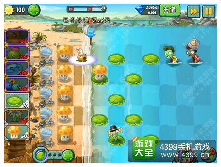 植物大战僵尸2巨浪沙滩第26关攻略 培养导向蓟