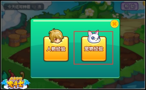 龙斗士宠物快速升级攻略