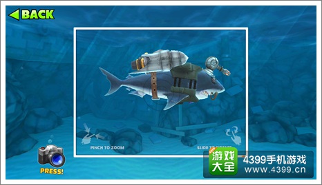 饥饿鲨：进化大白鲨