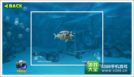 饥饿鲨：进化礁鲨