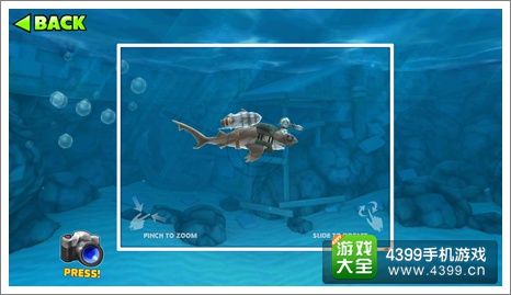 饥饿鲨：进化锤头鲨