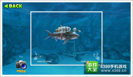 饥饿鲨：进化虎鲨