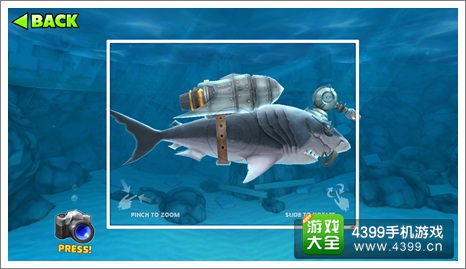 饥饿鲨：进化巨齿鲨