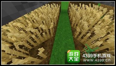 生存战争如何获得黑麦