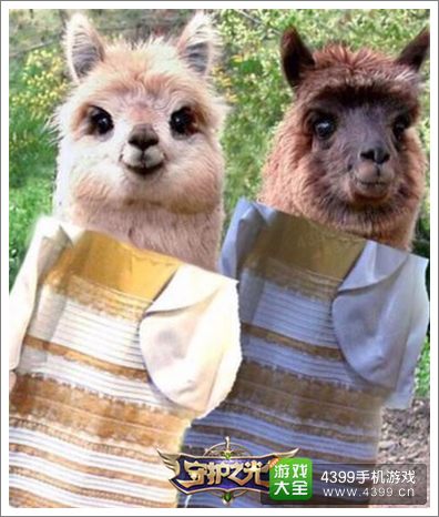 守护之光