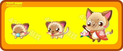 奥比岛小花猫-花灯狸猫进化图鉴及获得方式
