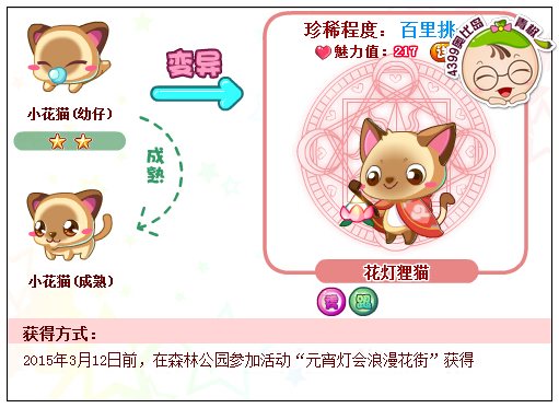 奥比岛花灯狸猫怎么得