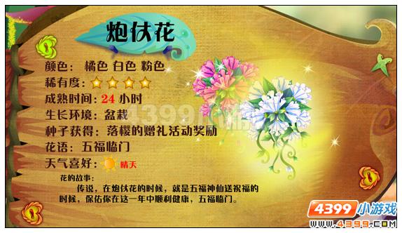 小花仙炮仗花