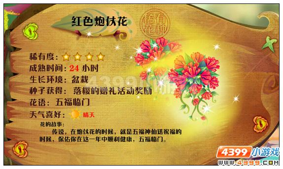 小花仙炮仗花