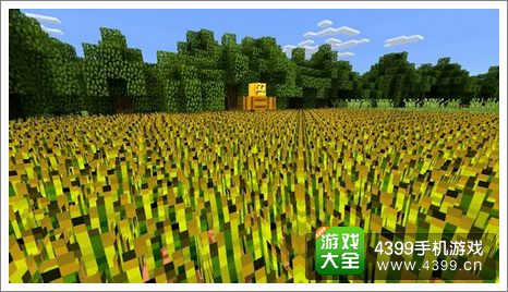 我的世界作品展示