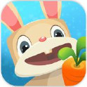 兔子复仇记评测