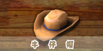 饥饿鲨:进化牛仔帽
