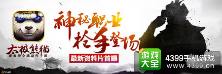 太极熊猫神秘职业