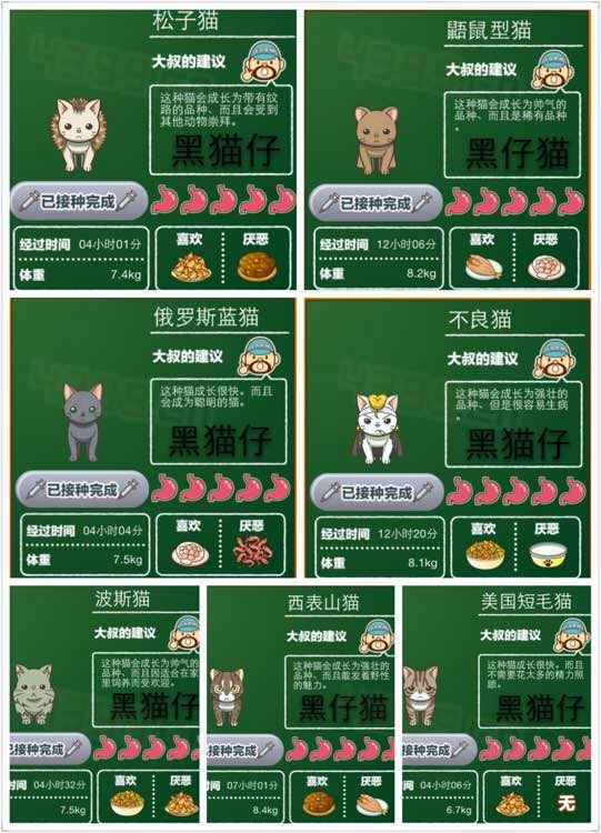 猫咖啡店图鉴