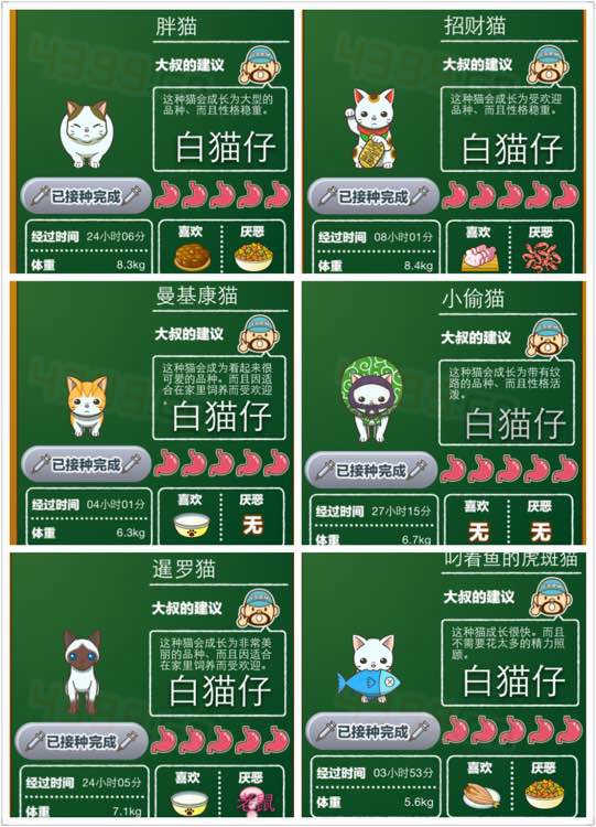 猫咖啡店图鉴