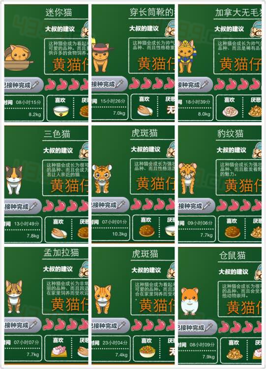猫咖啡店图鉴