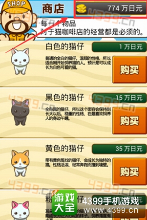 猫咖啡店猫咪的健康