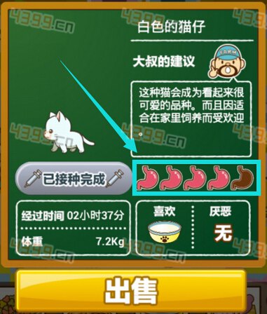 猫咖啡店怎么喂食