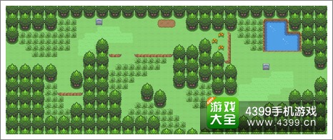 口袋妖怪漆黑的魅影102号道路