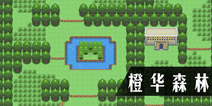 口袋妖怪漆黑的魅影橙华森林路平面图