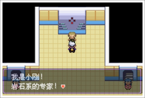 口袋妖怪漆黑的魅影