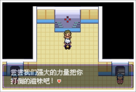 口袋妖怪漆黑的魅影